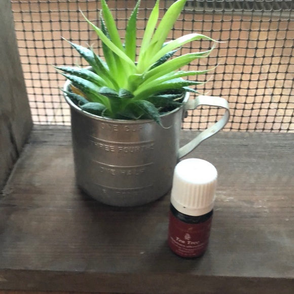 young living oils Other - Young living oils 5ml tea tree oil